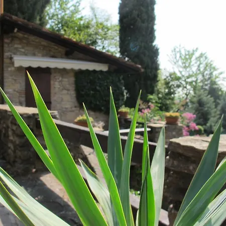 Bed & Breakfast Il Borghetto