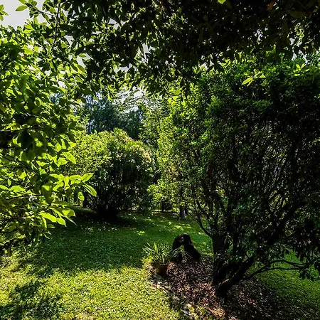 博格住宿加早餐旅馆 莫佐